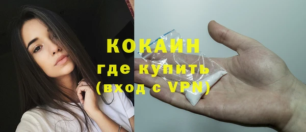 крисы Горняк
