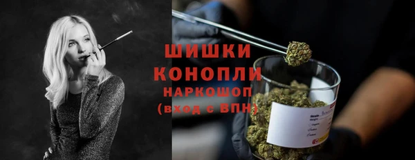 крисы Горняк