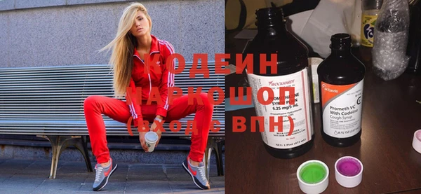 крисы Горняк