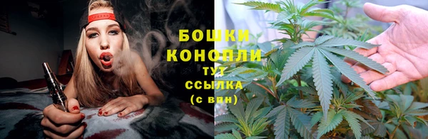 винт Горно-Алтайск